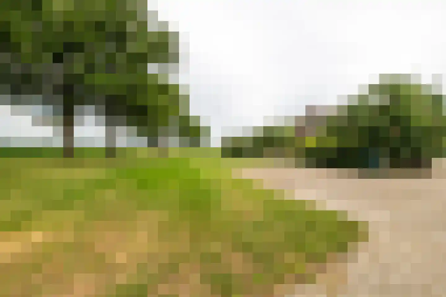 Twistdijk 4 Gelselaar thumbnail 45