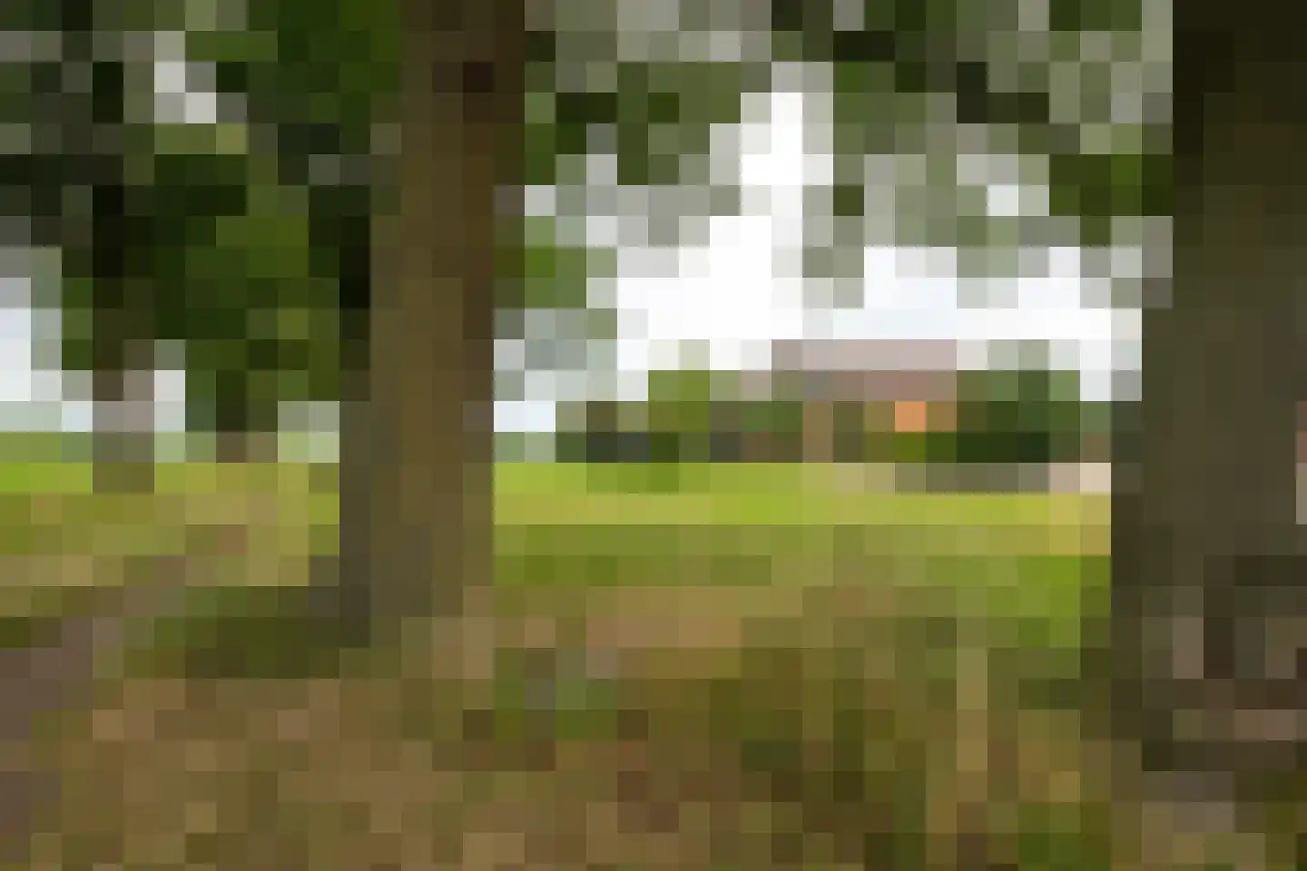 Twistdijk 4 Gelselaar thumbnail 46