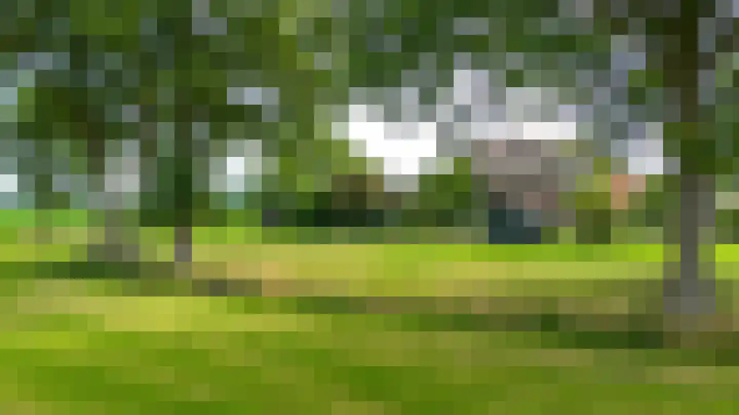 Twistdijk 4 Gelselaar thumbnail 47