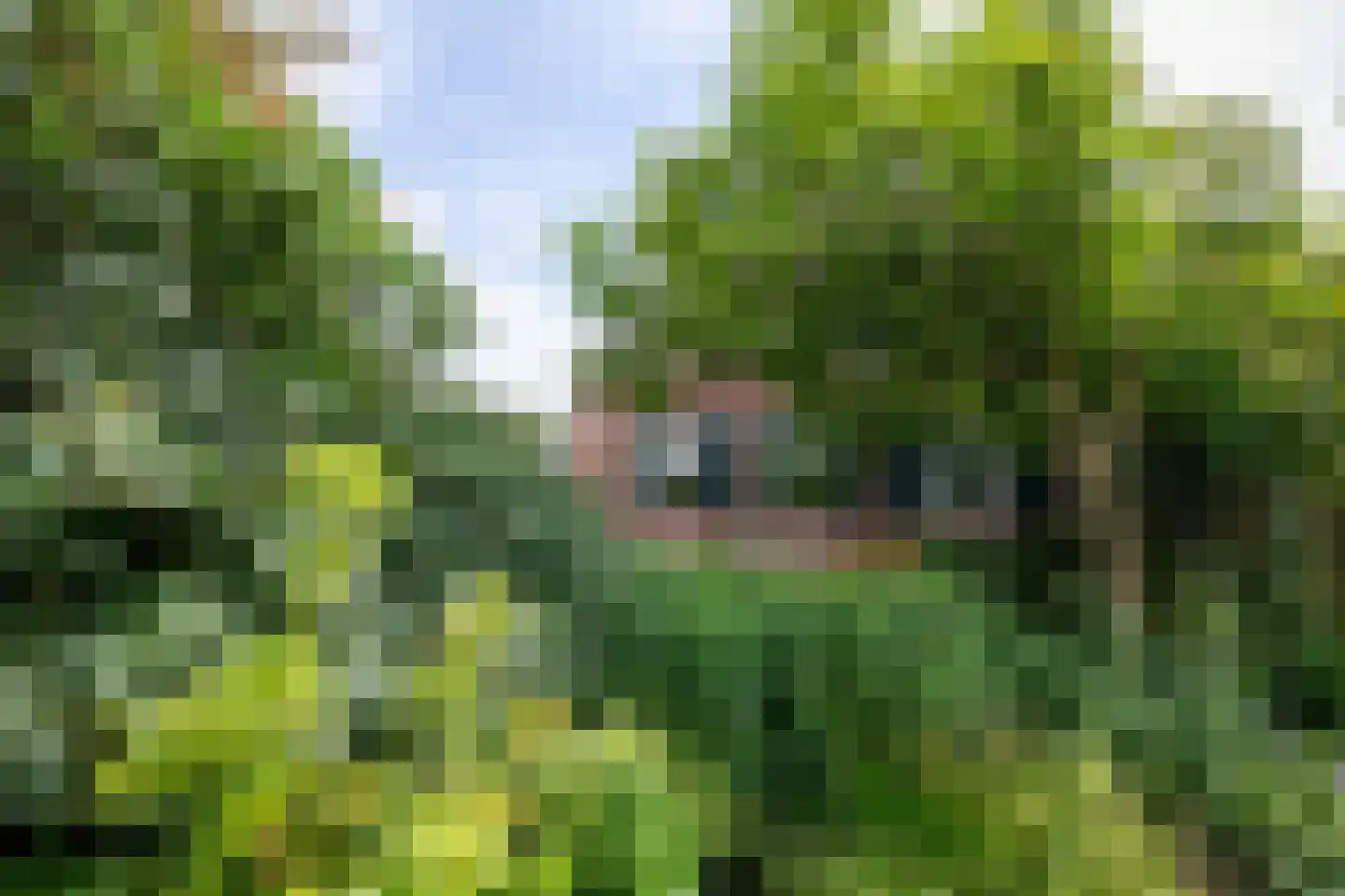 Twistdijk 4 Gelselaar thumbnail 48