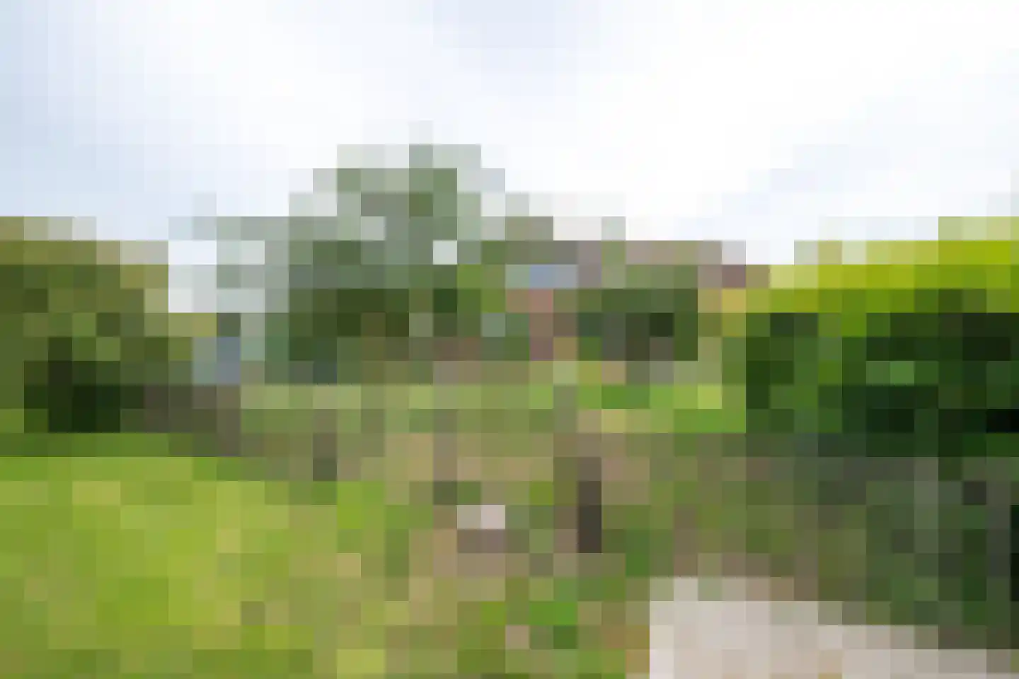 Twistdijk 4 Gelselaar thumbnail 49