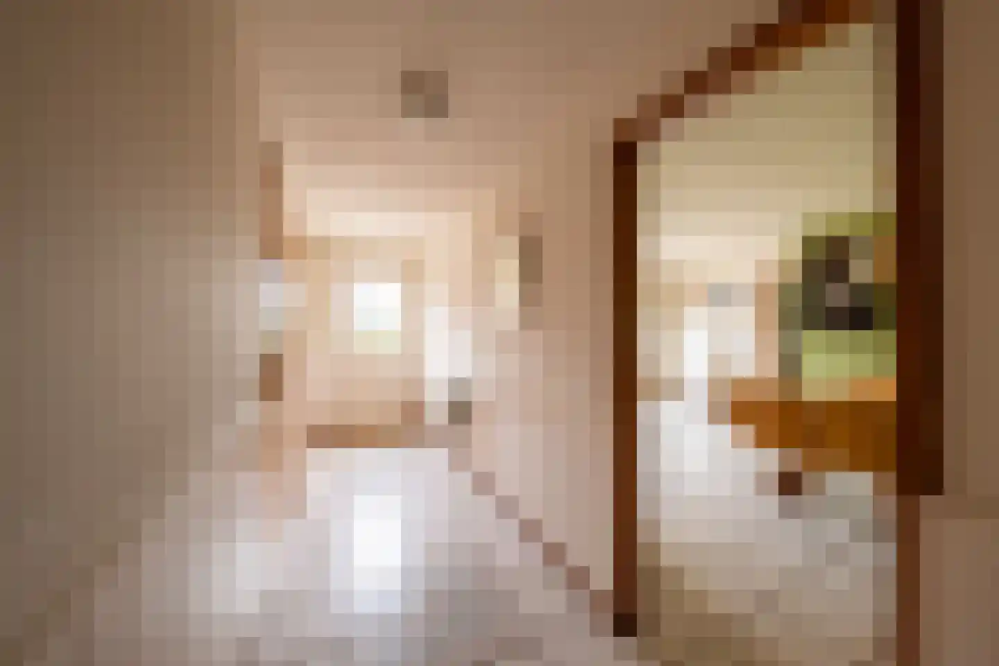 Twistdijk 4 Gelselaar thumbnail 5
