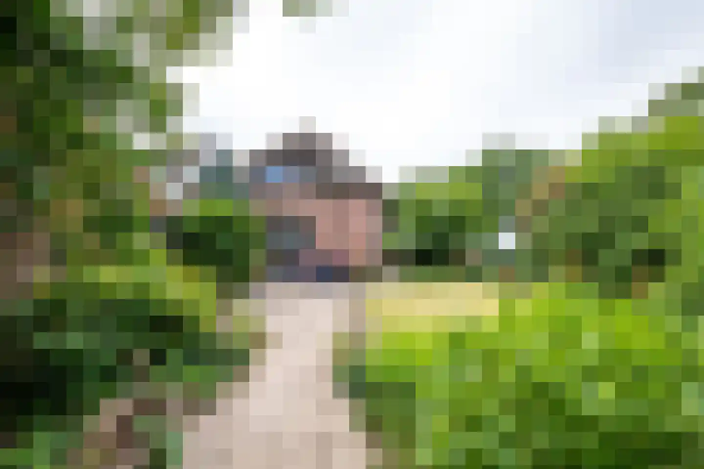 Twistdijk 4 Gelselaar thumbnail 50
