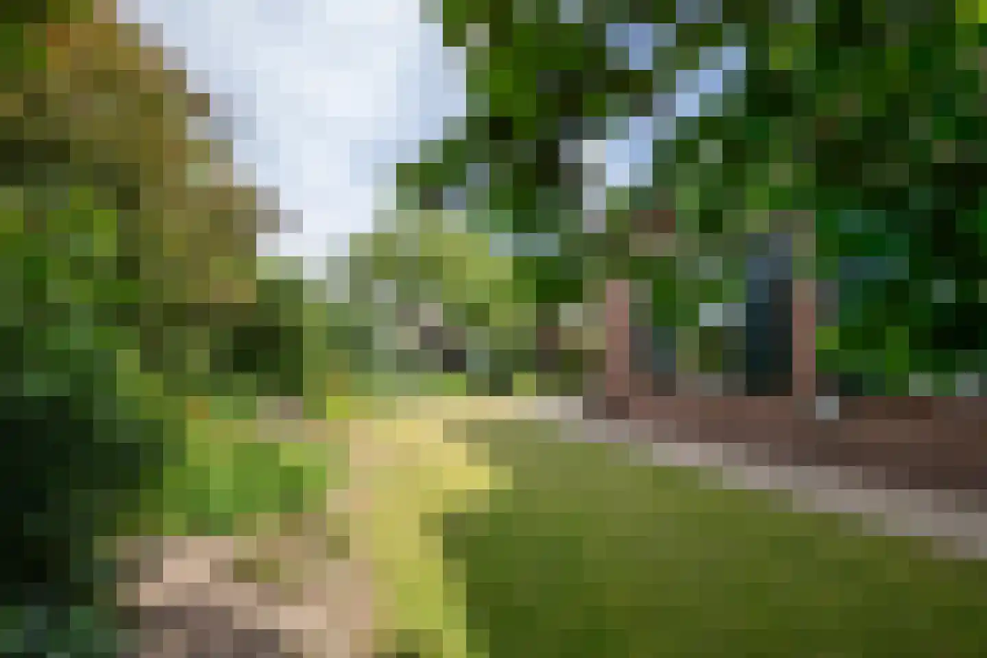 Twistdijk 4 Gelselaar thumbnail 51