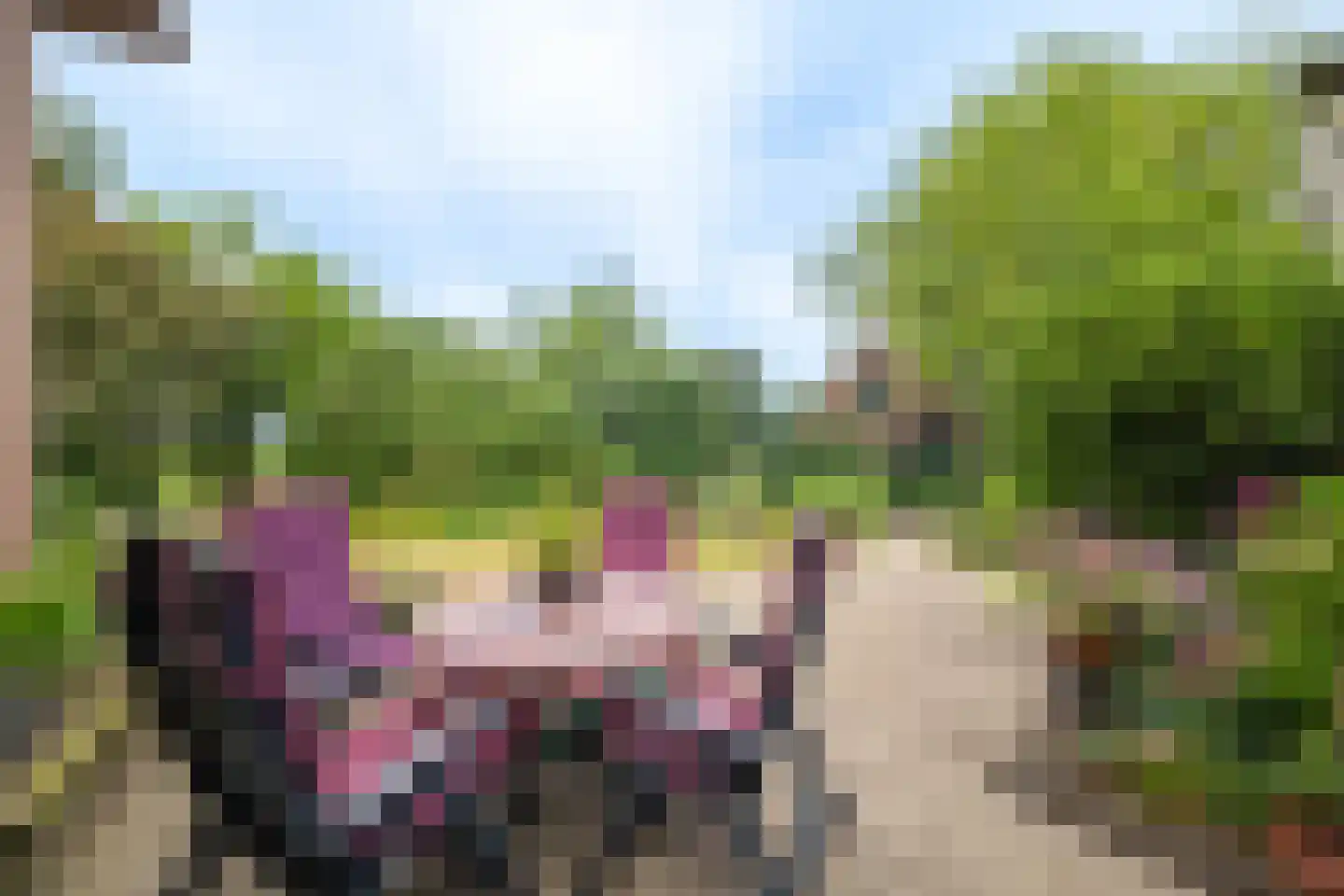 Twistdijk 4 Gelselaar thumbnail 52