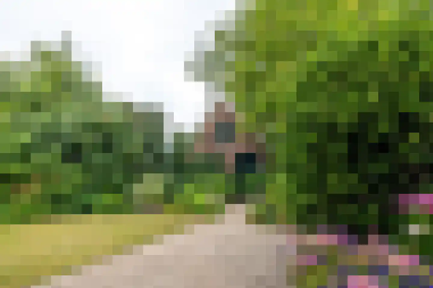 Twistdijk 4 Gelselaar thumbnail 53