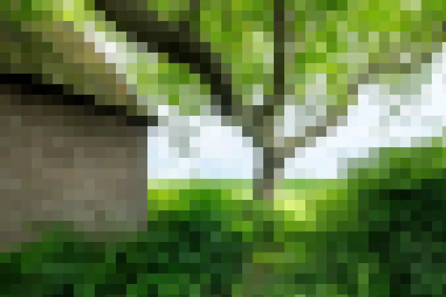 Twistdijk 4 Gelselaar thumbnail 54