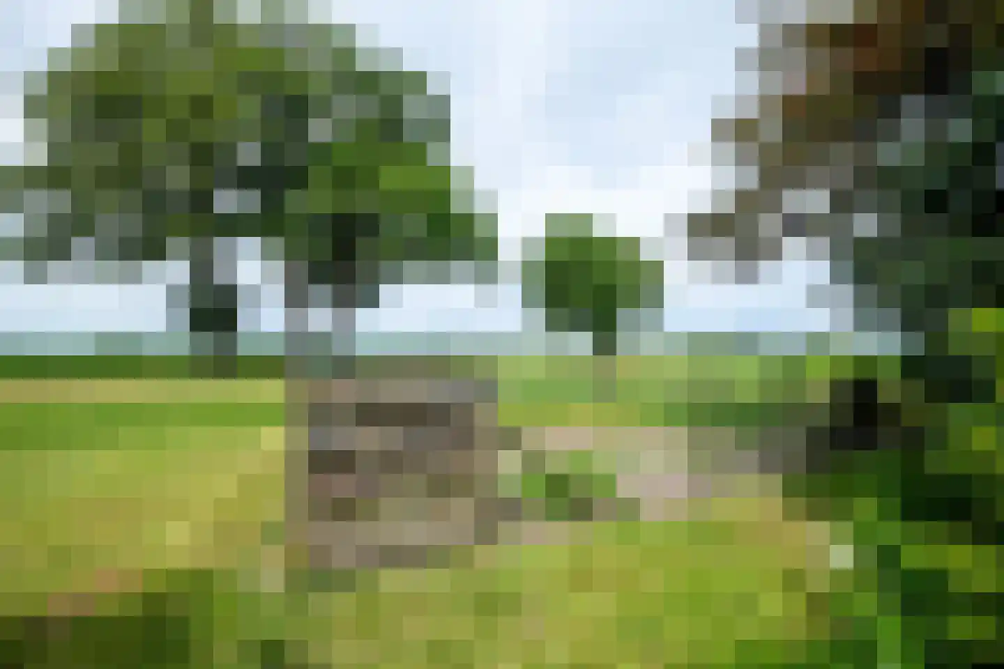 Twistdijk 4 Gelselaar thumbnail 55