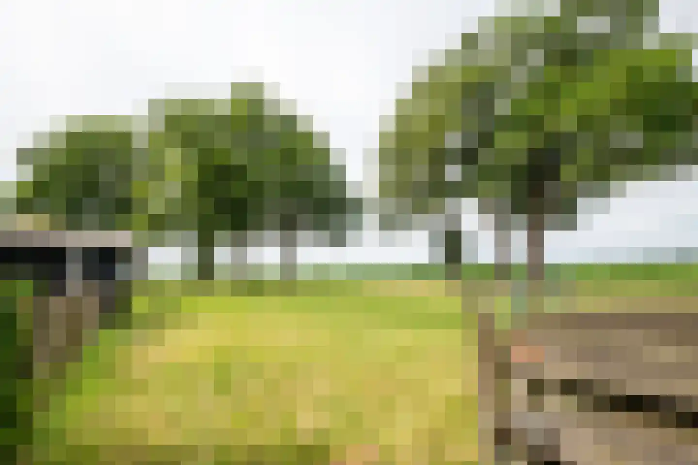 Twistdijk 4 Gelselaar thumbnail 56