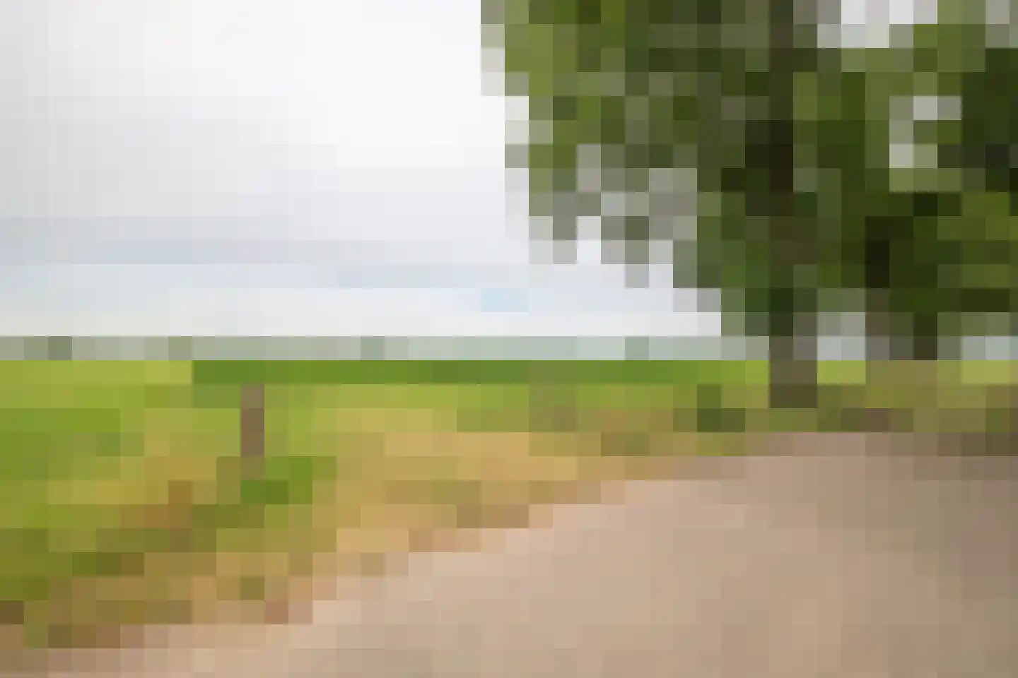 Twistdijk 4 Gelselaar thumbnail 57