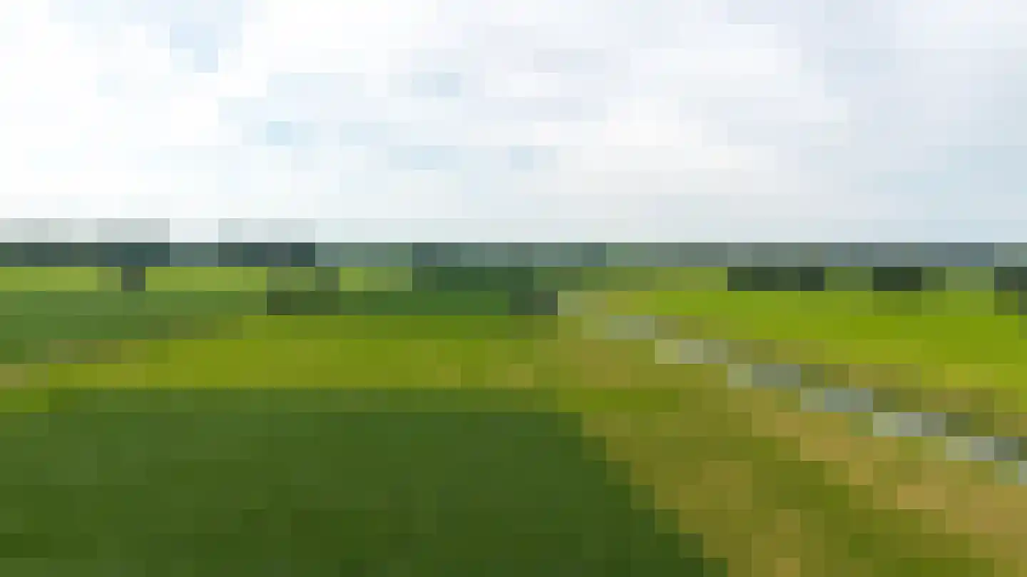 Twistdijk 4 Gelselaar thumbnail 58