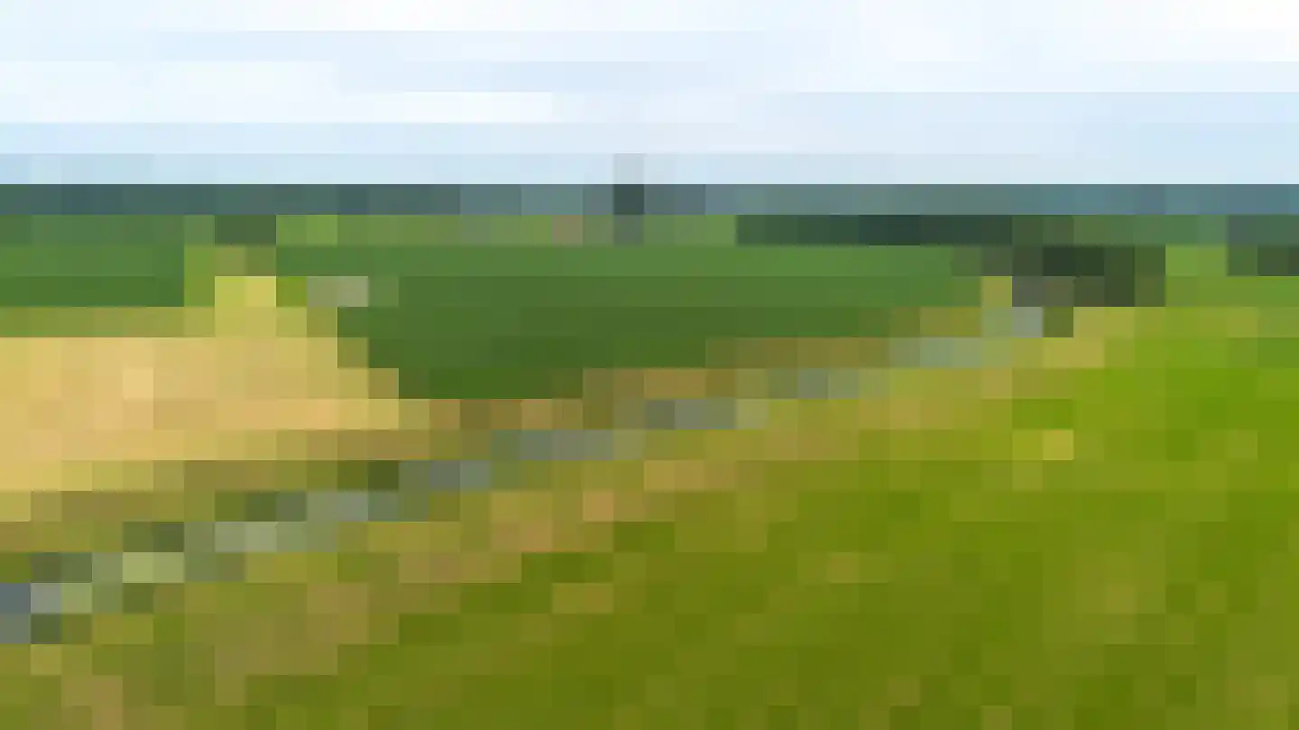 Twistdijk 4 Gelselaar thumbnail 59