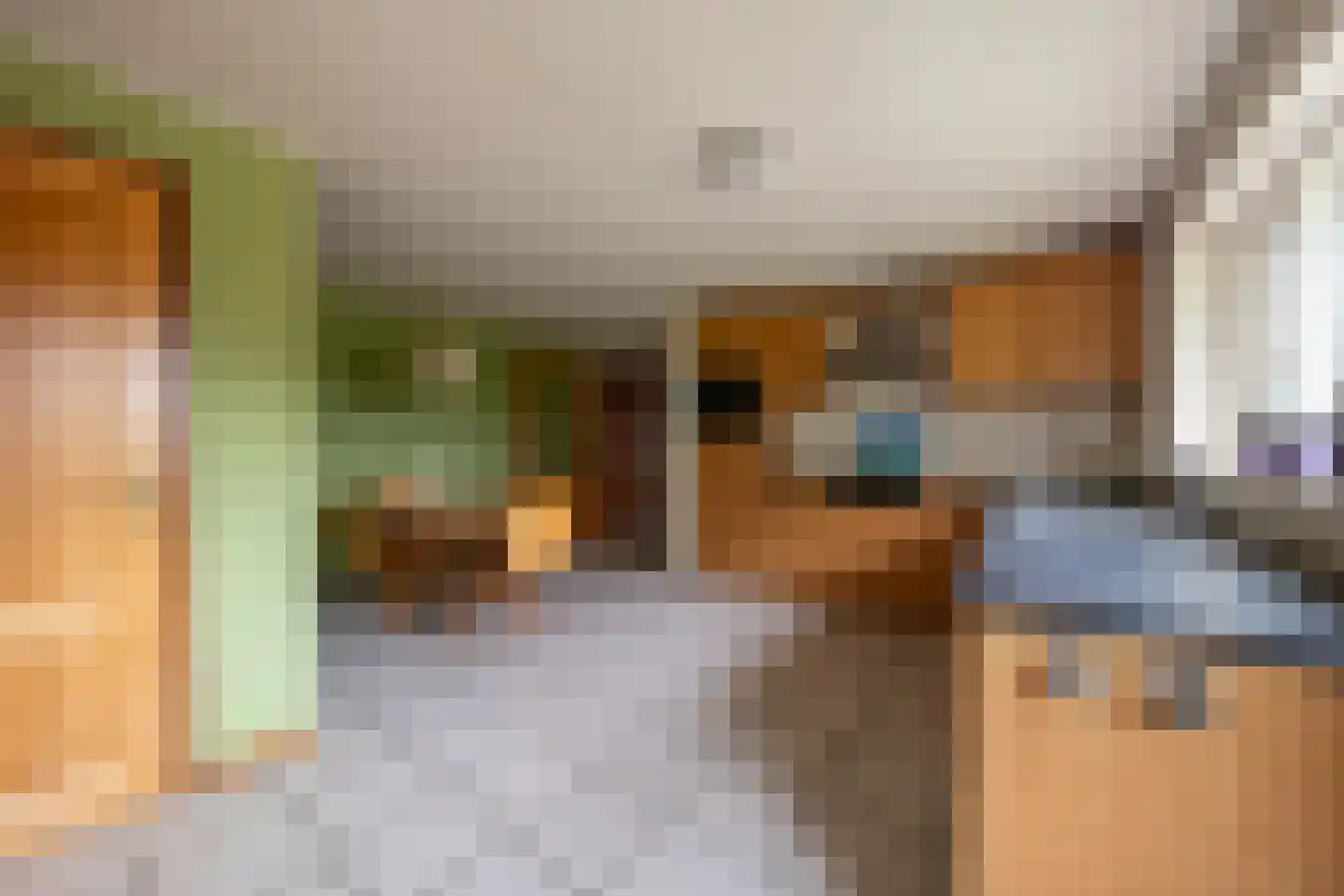 Twistdijk 4 Gelselaar thumbnail 7