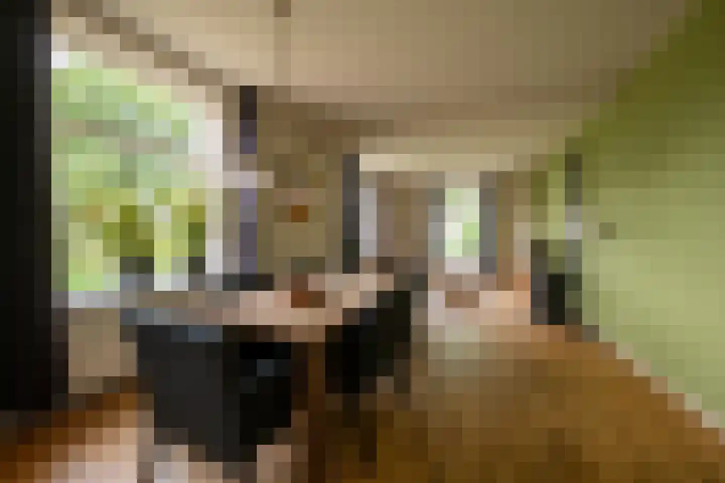 Twistdijk 4 Gelselaar thumbnail 8