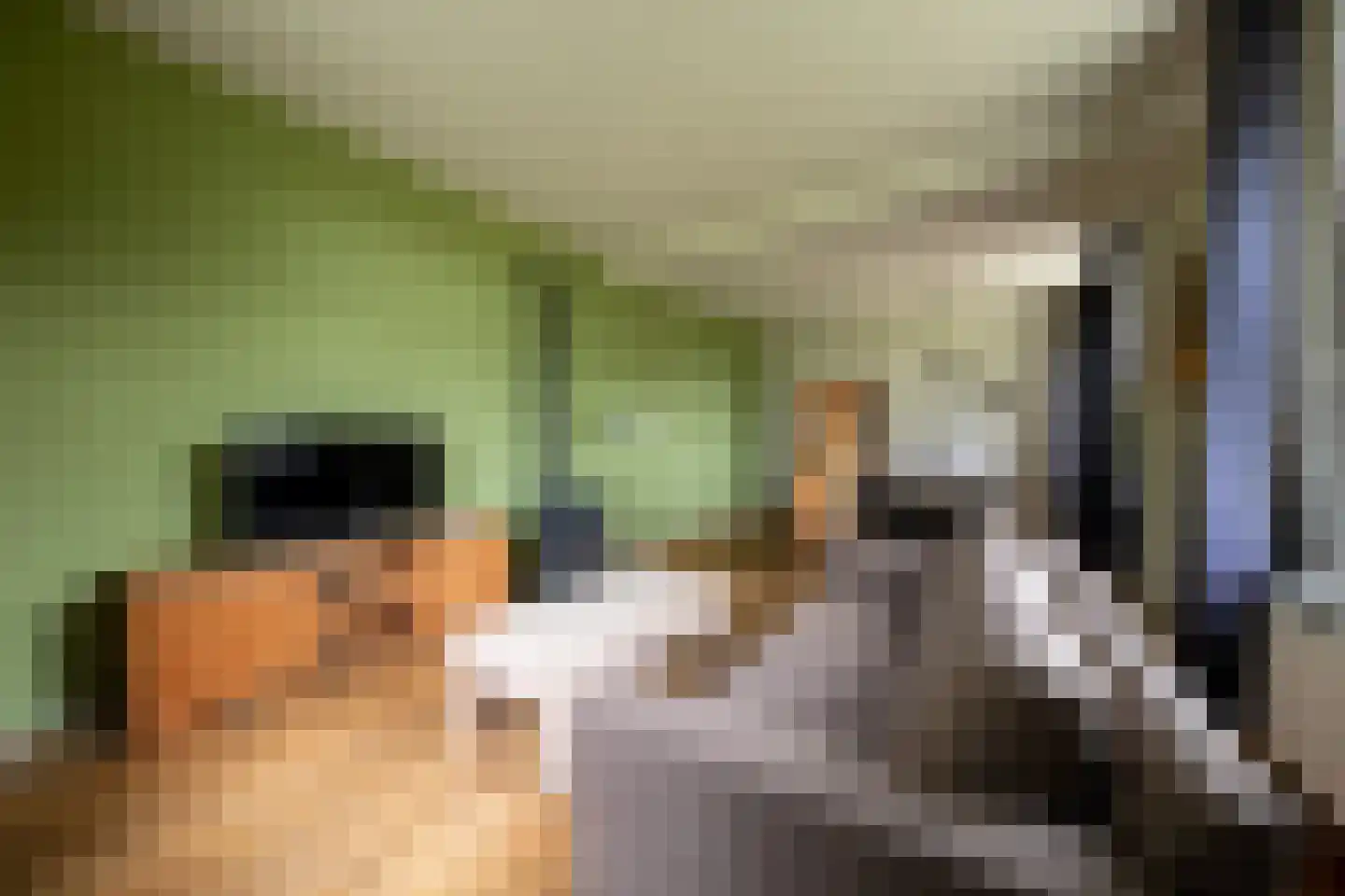 Twistdijk 4 Gelselaar thumbnail 9