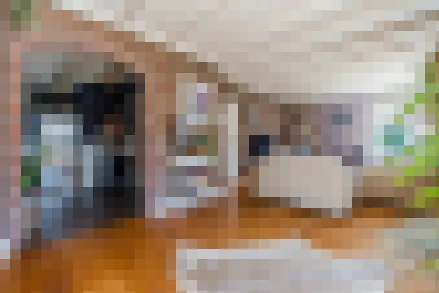 Twistveenweg 9 Vroomshoop thumbnail 10