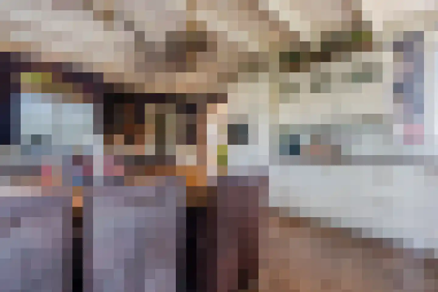 Twistveenweg 9 Vroomshoop thumbnail 12