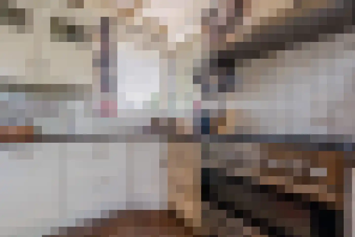 Twistveenweg 9 Vroomshoop thumbnail 13