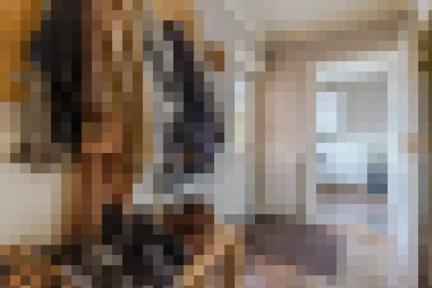 Twistveenweg 9 Vroomshoop thumbnail 14