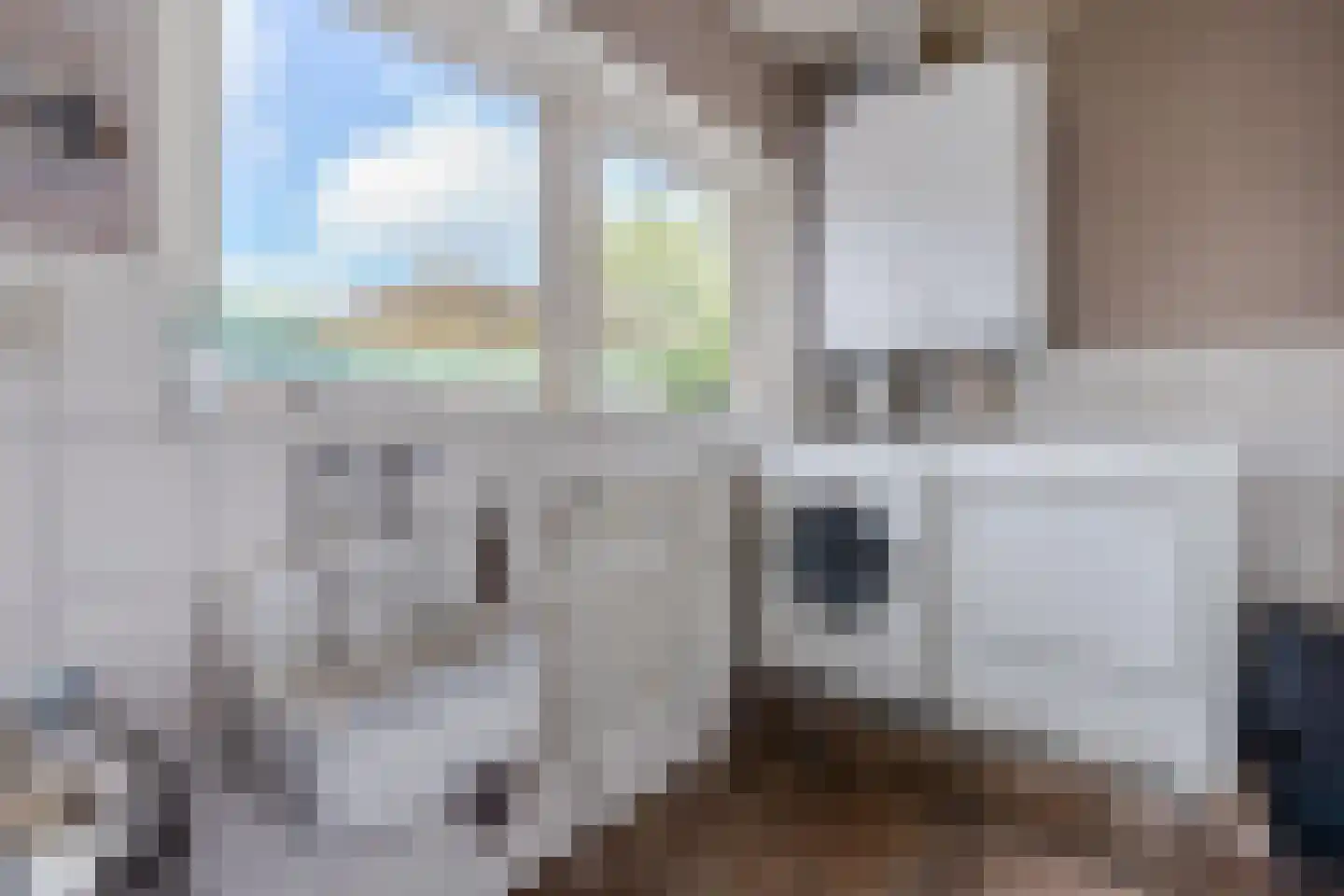 Twistveenweg 9 Vroomshoop thumbnail 15