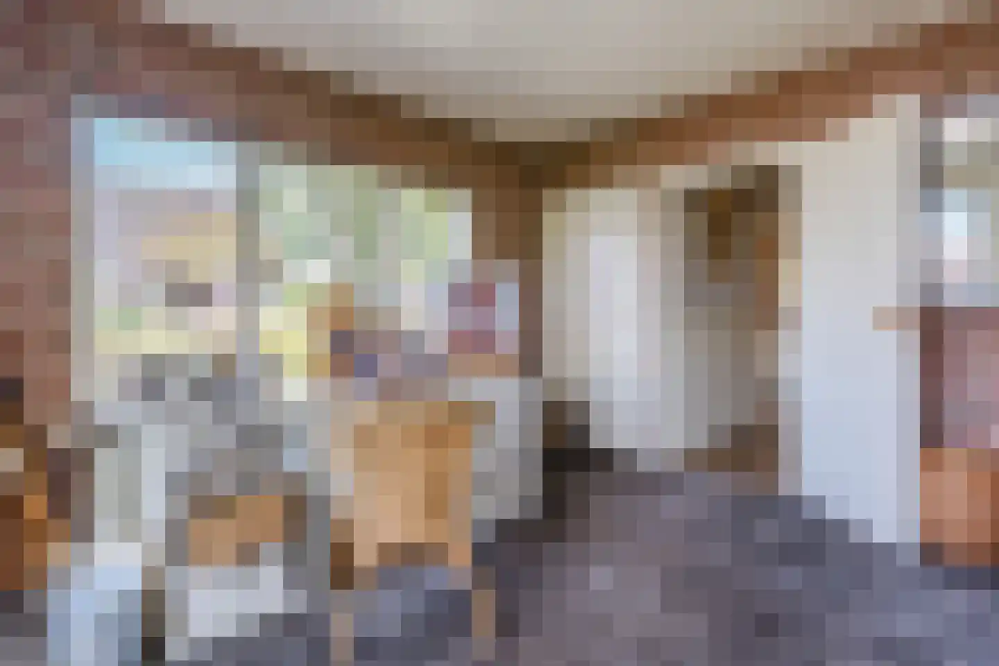 Twistveenweg 9 Vroomshoop thumbnail 17