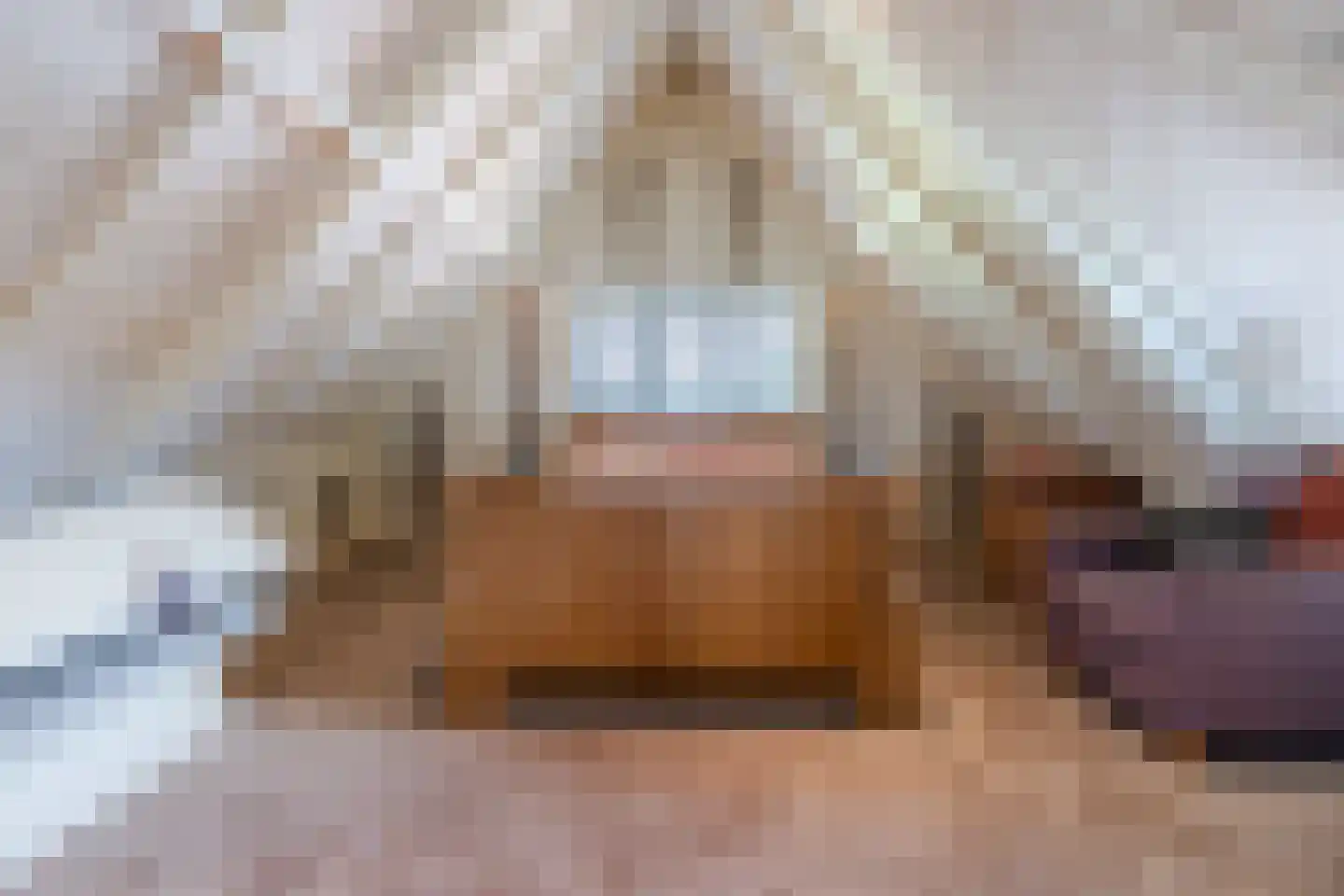 Twistveenweg 9 Vroomshoop thumbnail 23