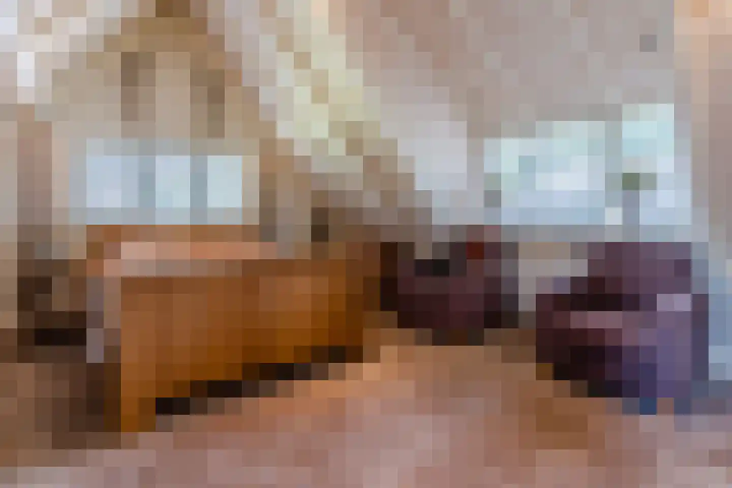 Twistveenweg 9 Vroomshoop thumbnail 24