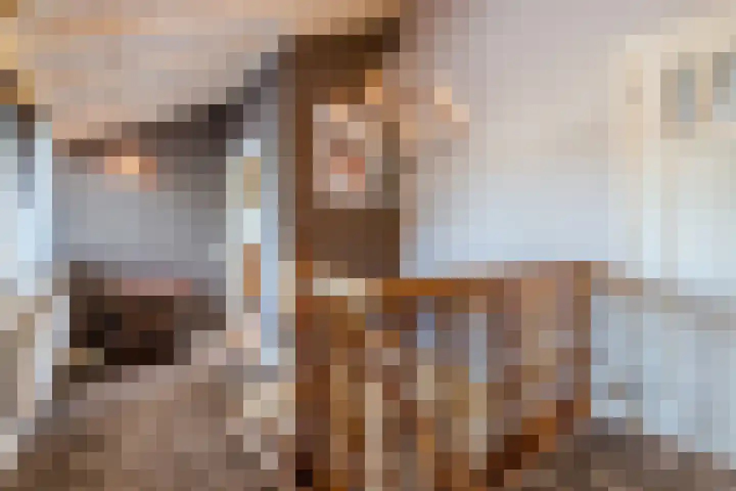 Twistveenweg 9 Vroomshoop thumbnail 32