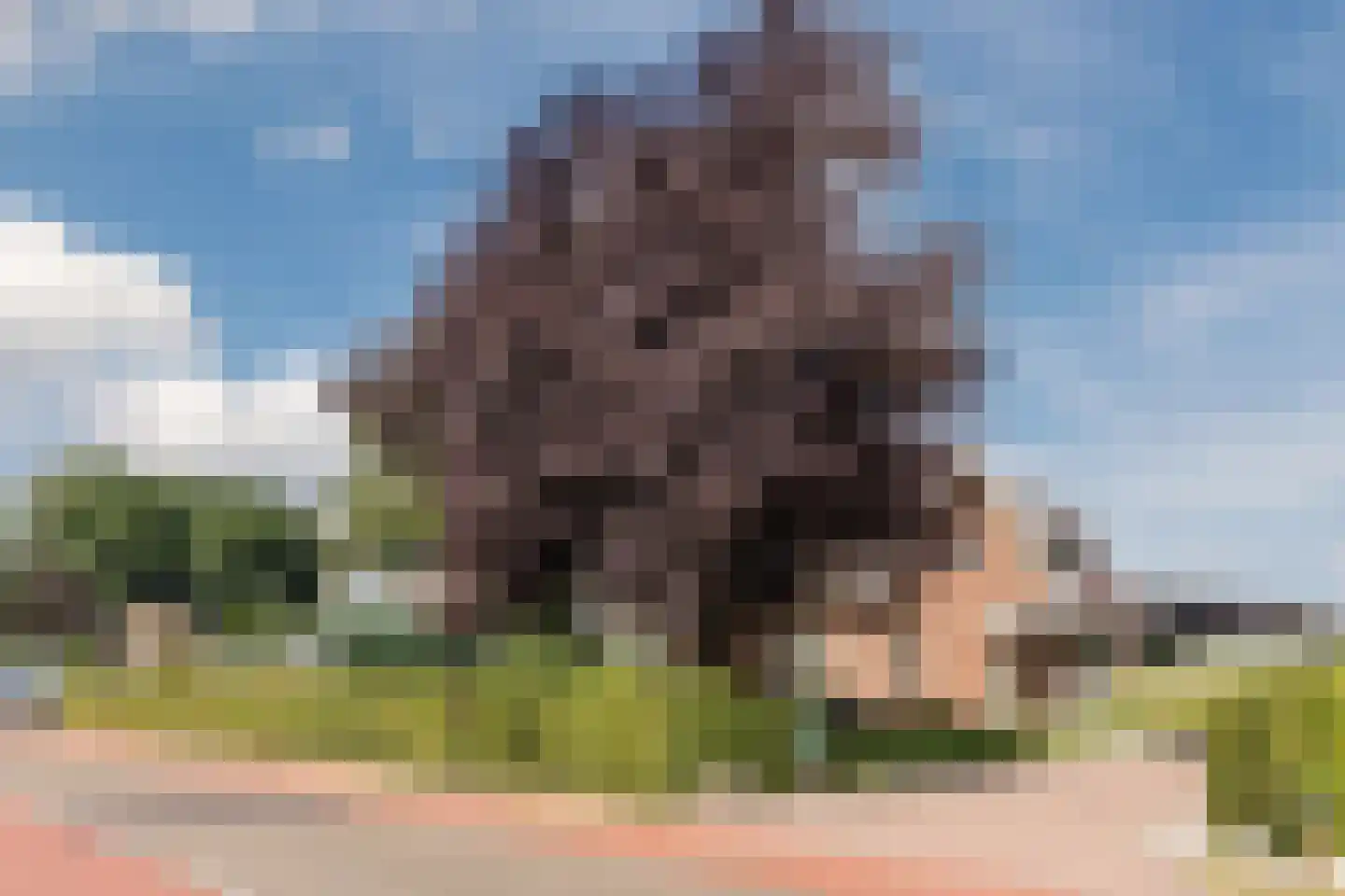 Twistveenweg 9 Vroomshoop thumbnail 33