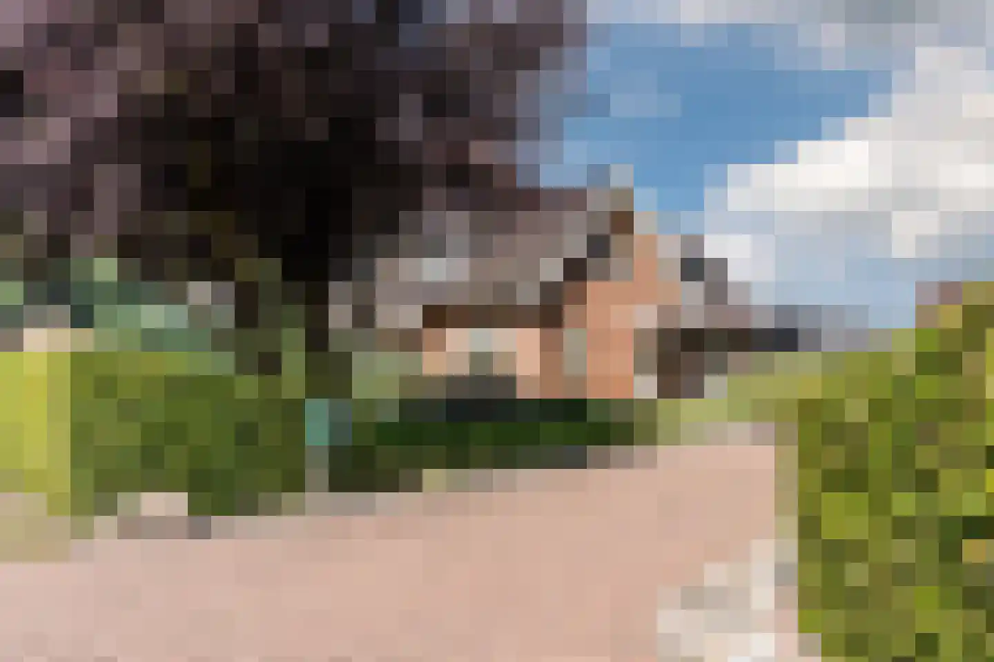 Twistveenweg 9 Vroomshoop thumbnail 34