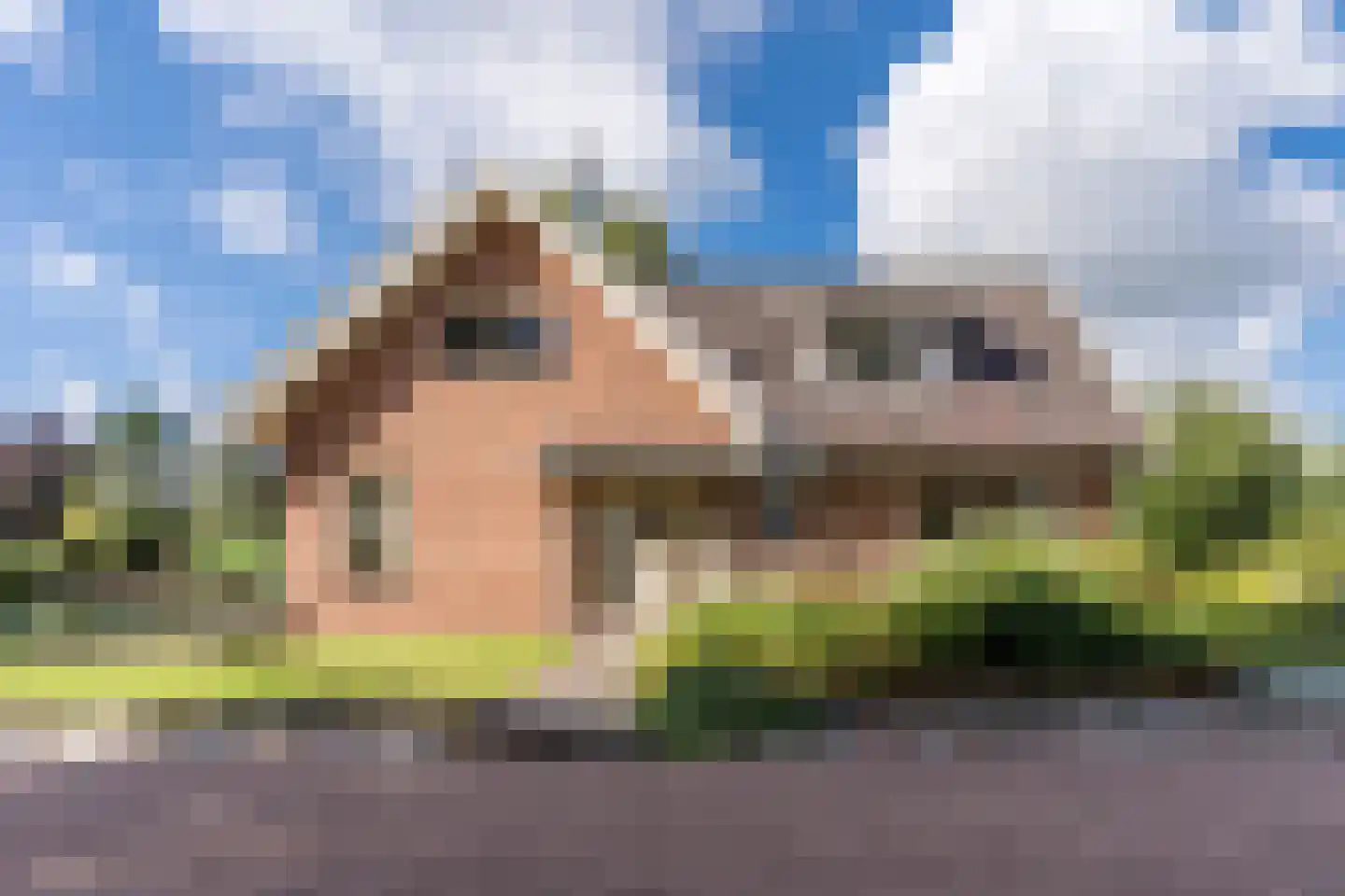 Twistveenweg 9 Vroomshoop thumbnail 35