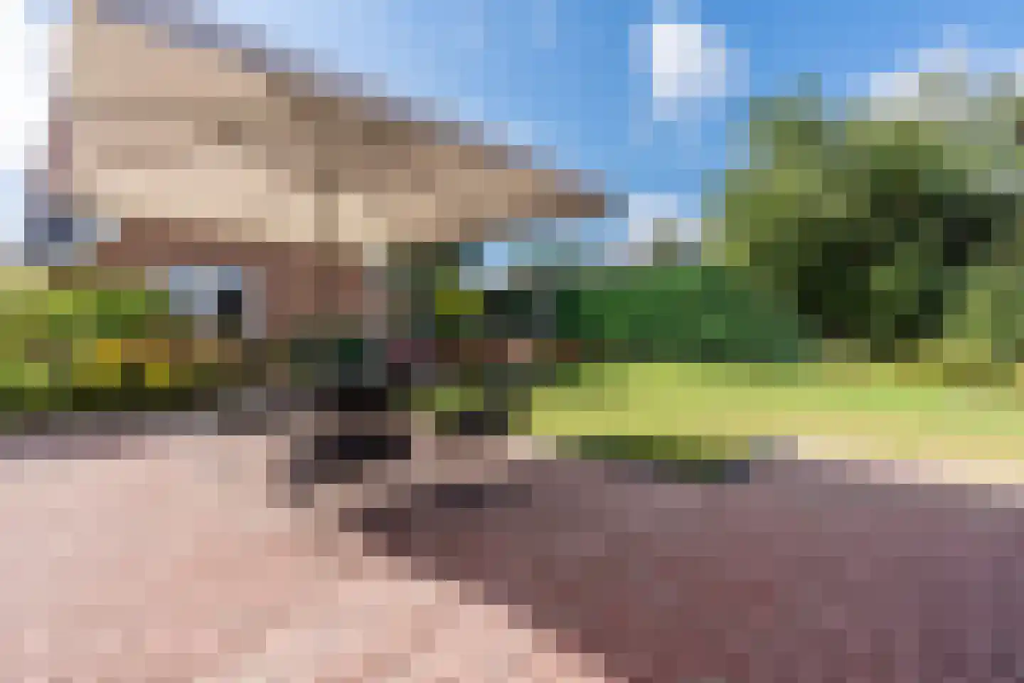 Twistveenweg 9 Vroomshoop thumbnail 4