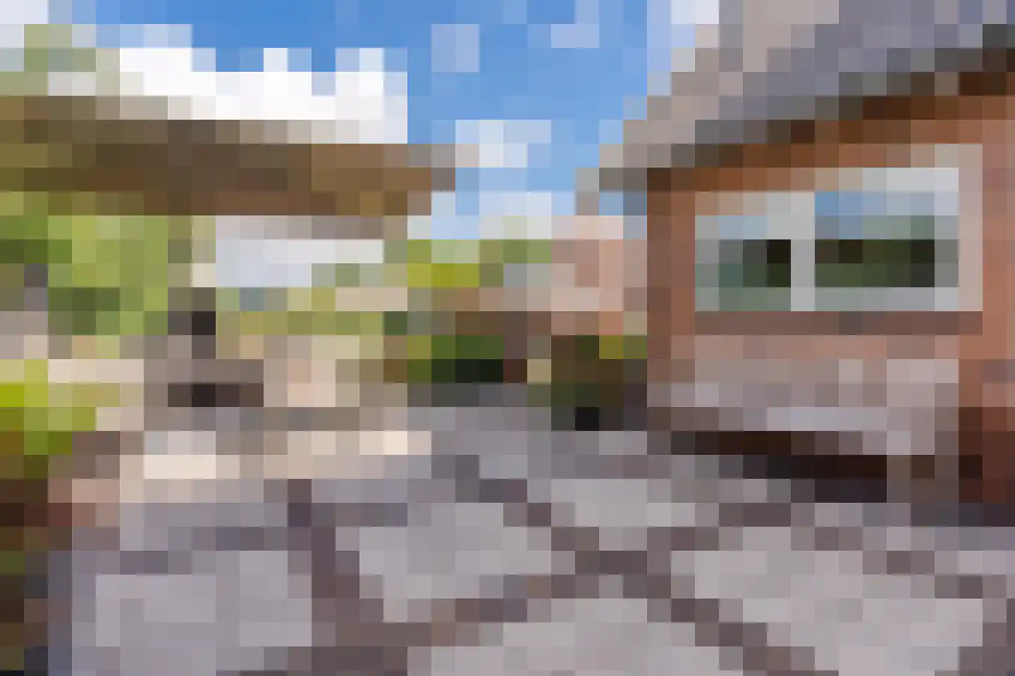 Twistveenweg 9 Vroomshoop thumbnail 40