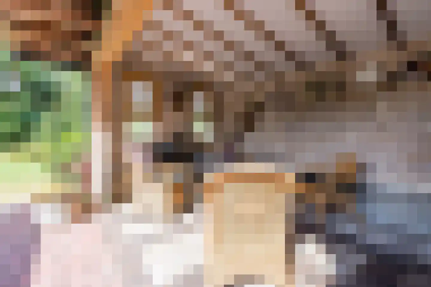 Twistveenweg 9 Vroomshoop thumbnail 43