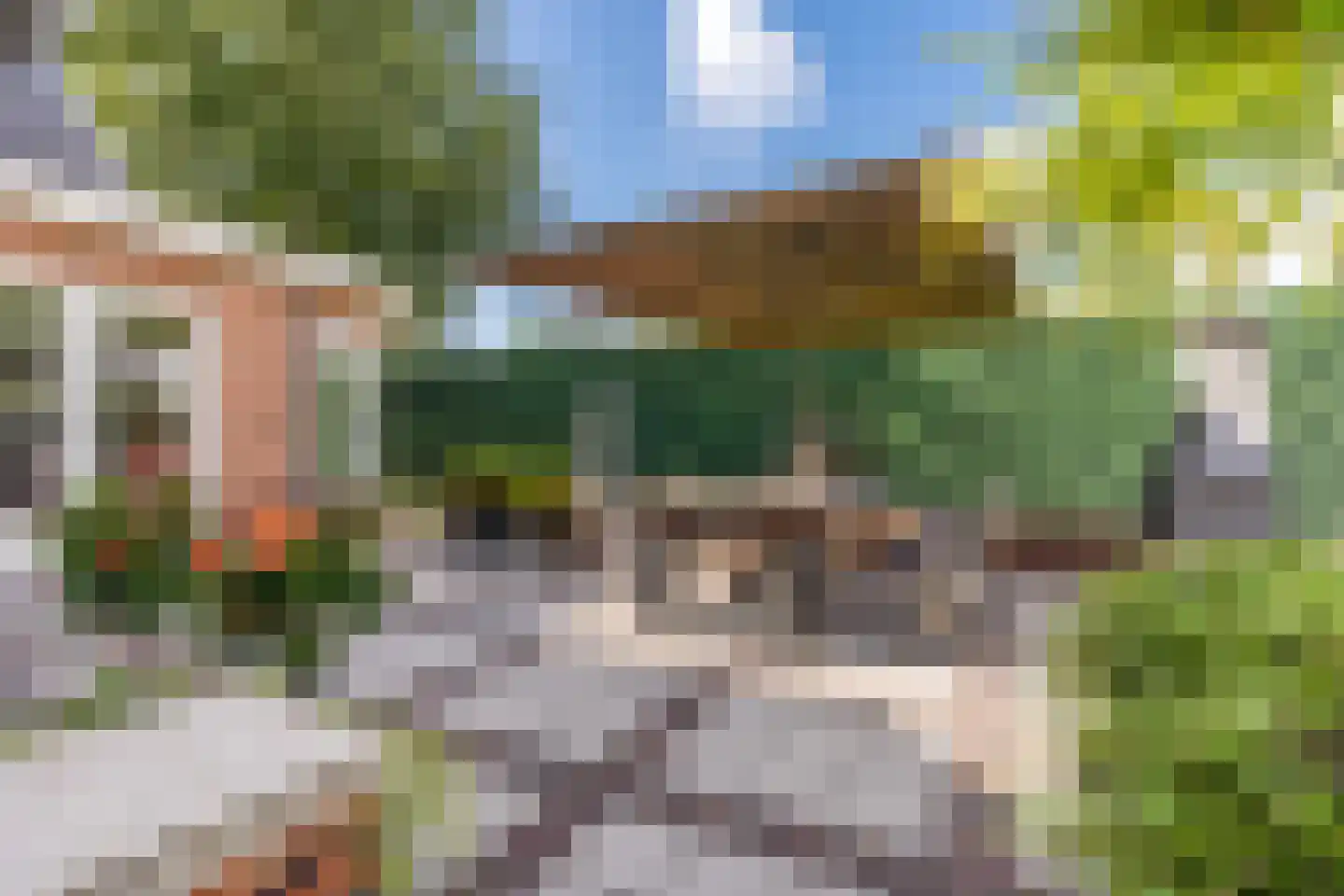 Twistveenweg 9 Vroomshoop thumbnail 6