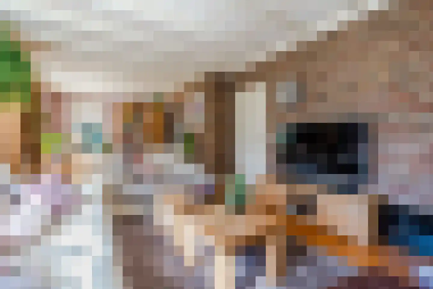 Twistveenweg 9 Vroomshoop thumbnail 8