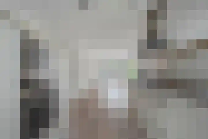 Twistvlietpad 103 Zwolle thumbnail 12
