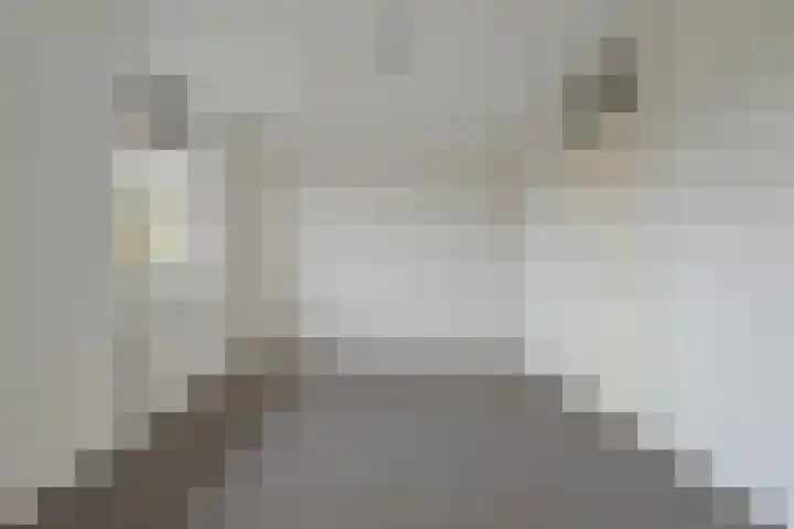 Twistvlietpad 103 Zwolle thumbnail 17