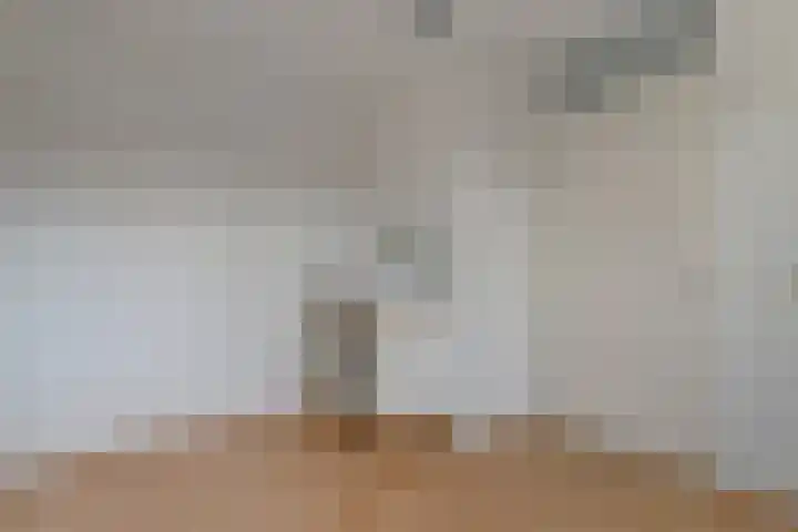 Twistvlietpad 103 Zwolle thumbnail 19