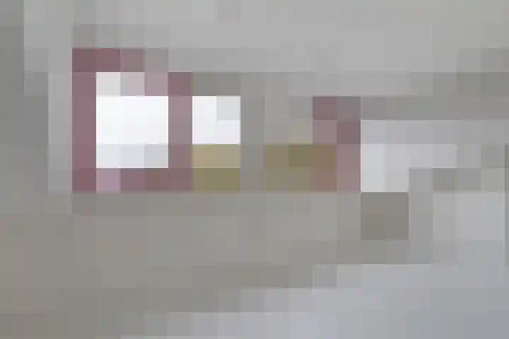 Twistvlietpad 103 Zwolle thumbnail 24