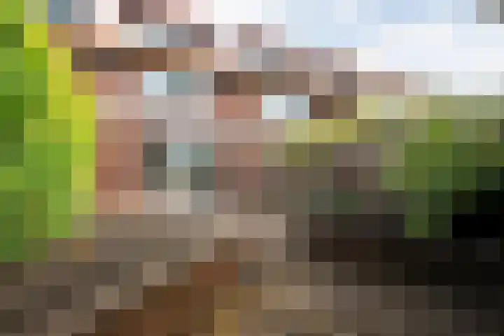 Twistvlietpad 103 Zwolle thumbnail 27