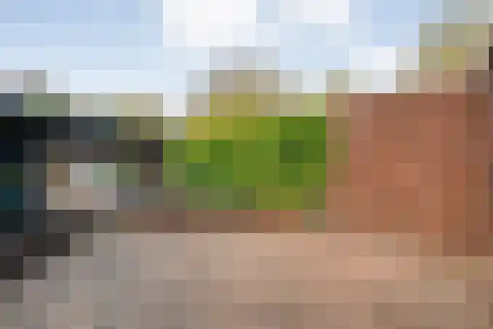 Twistvlietpad 103 Zwolle thumbnail 28