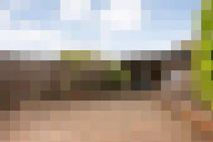 Twistvlietpad 103 Zwolle thumbnail 29