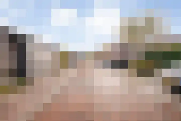 Twistvlietpad 103 Zwolle thumbnail 31