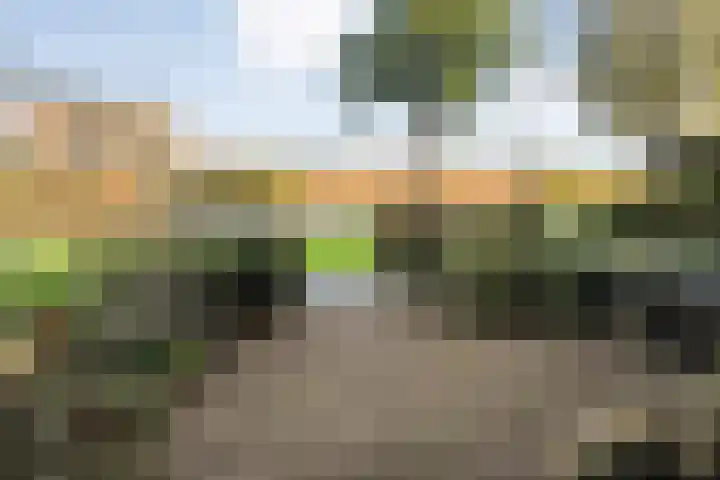 Twistvlietpad 103 Zwolle thumbnail 32
