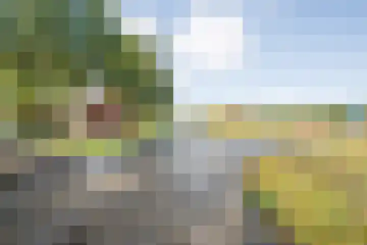 Twistvlietpad 103 Zwolle thumbnail 33