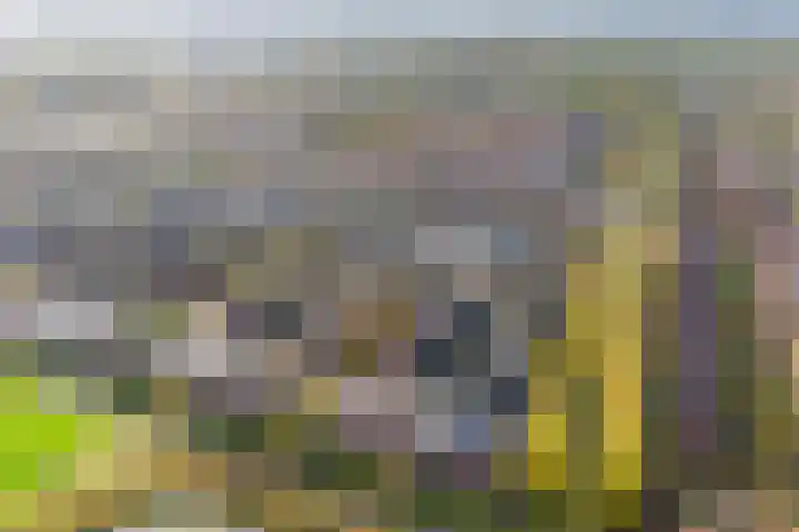 Twistvlietpad 103 Zwolle thumbnail 34