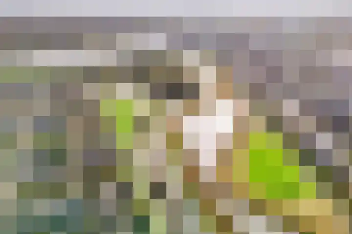 Twistvlietpad 103 Zwolle thumbnail 4