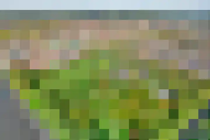 Twistvlietpad 103 Zwolle thumbnail 5