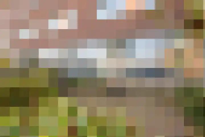 Twistvlietpad 103 Zwolle thumbnail 6
